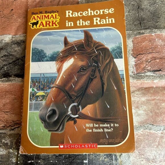 5 for $25🔥Racehorse in the Rain (Paperback Book) - Picture 1 of 4